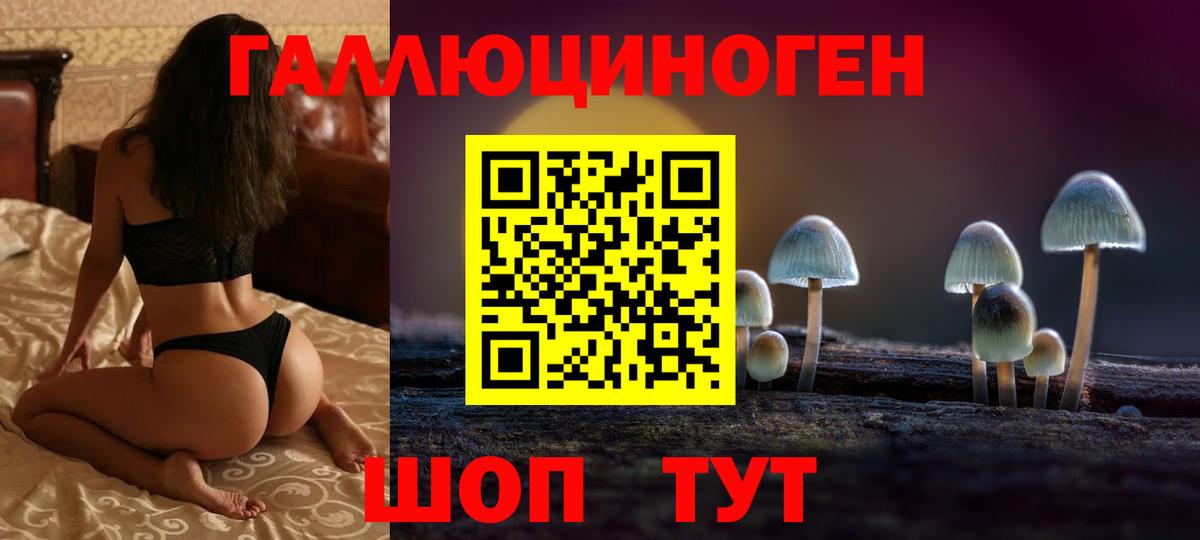 Вязники  Псилоцибиновые грибы GOLDEN TEACHER  цена   Вход с VPN 