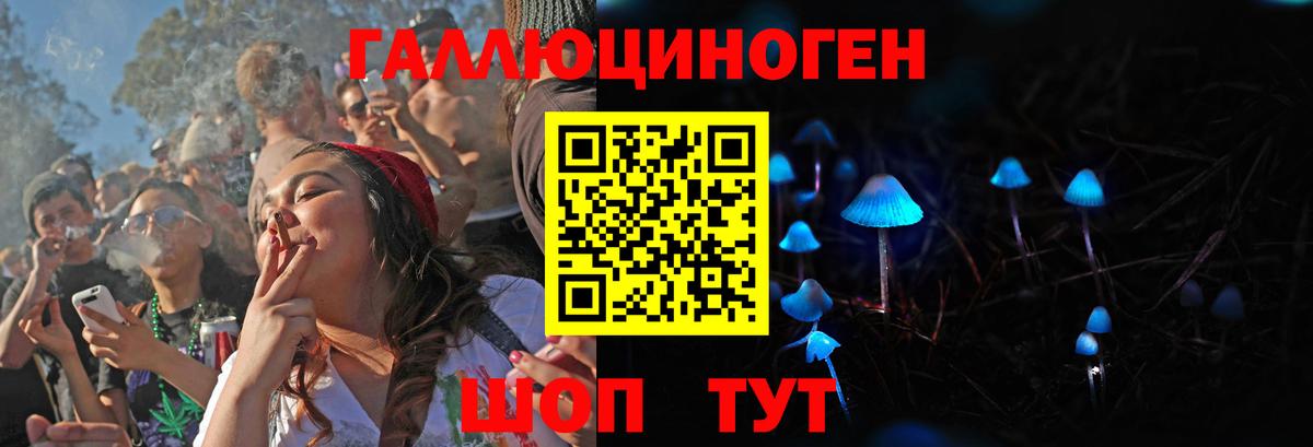 Галлюциногенные грибы Psilocybine cubensis Вязники
